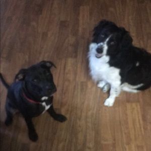 Meet your Posher, Grace